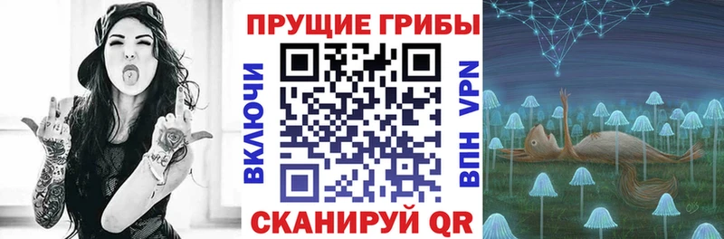 купить наркотики сайты  Туринск  Псилоцибиновые грибы Magic Shrooms 